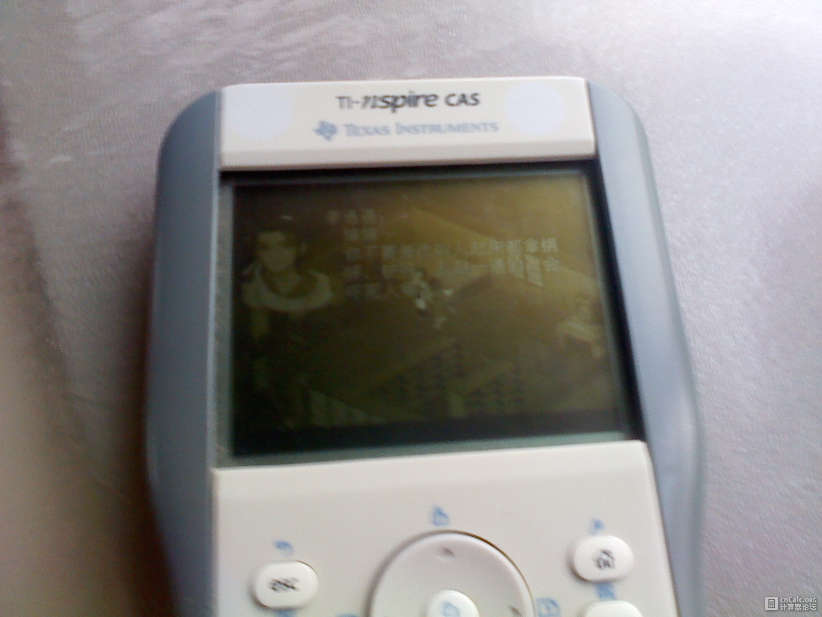 IMG0820065100.jpg