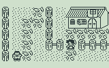 screenshot3.png
