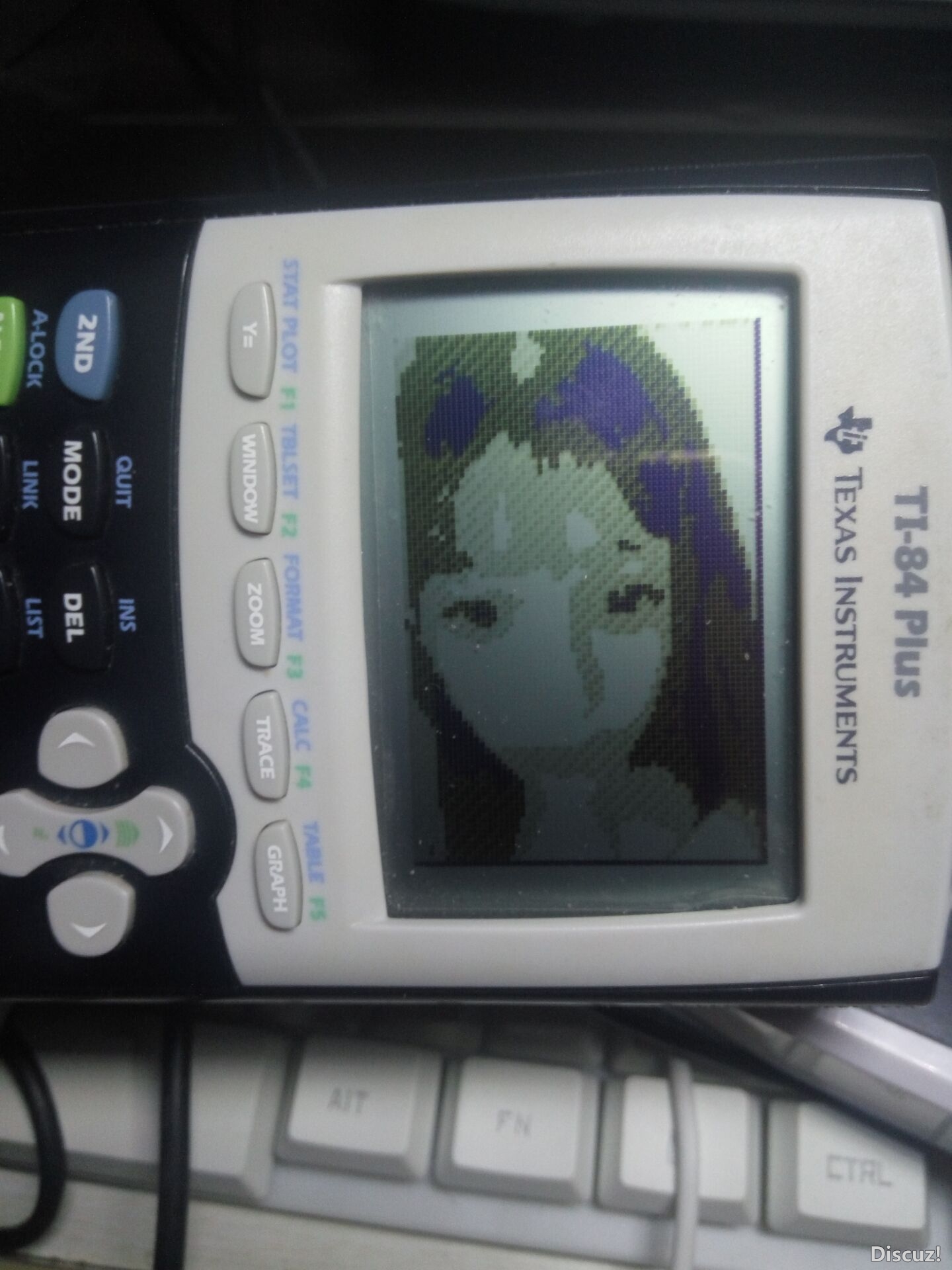 223.jpg