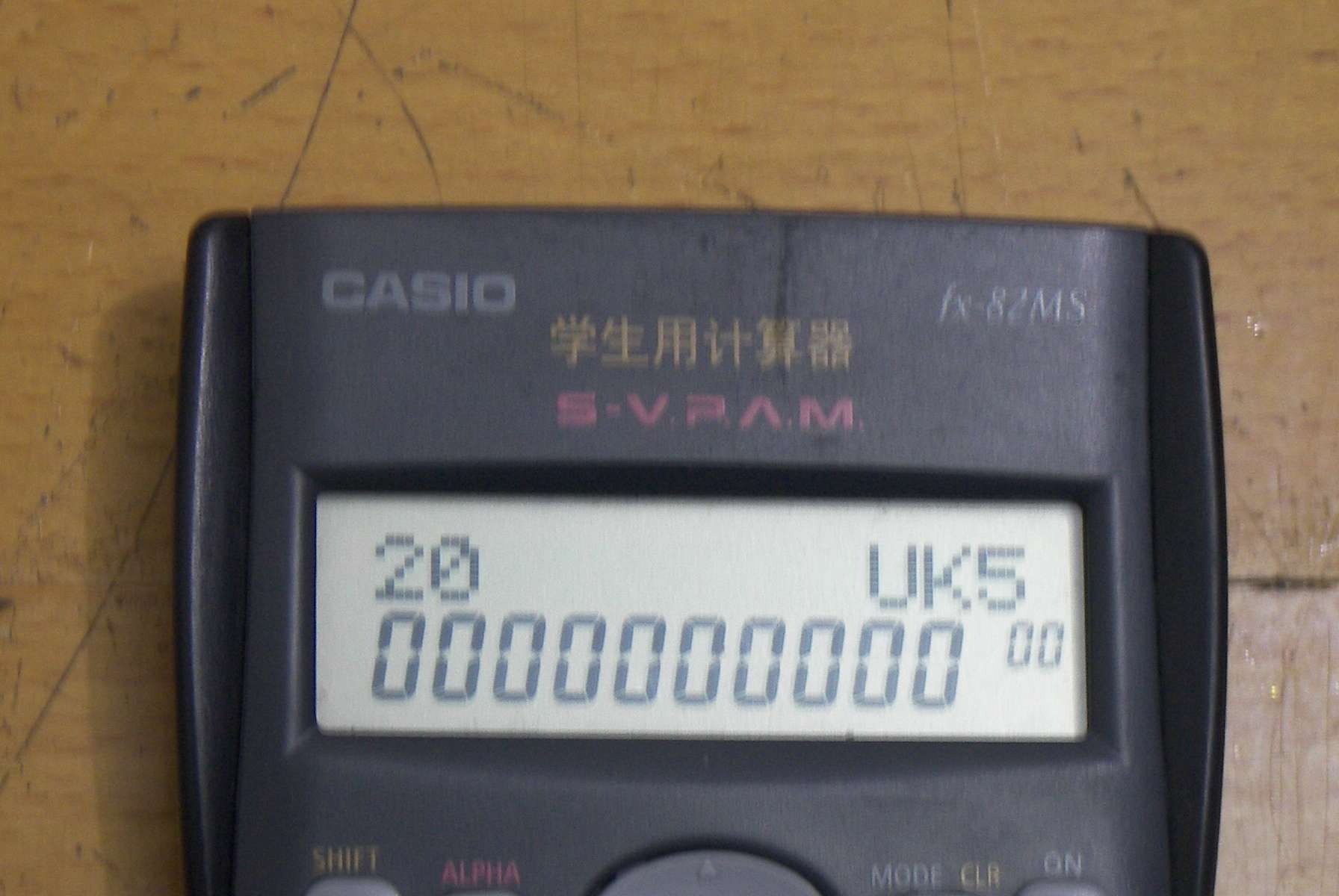 100_0203.JPG