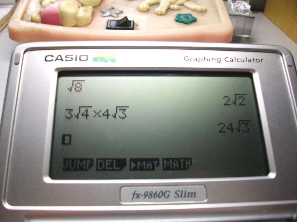 SANY0371.JPG