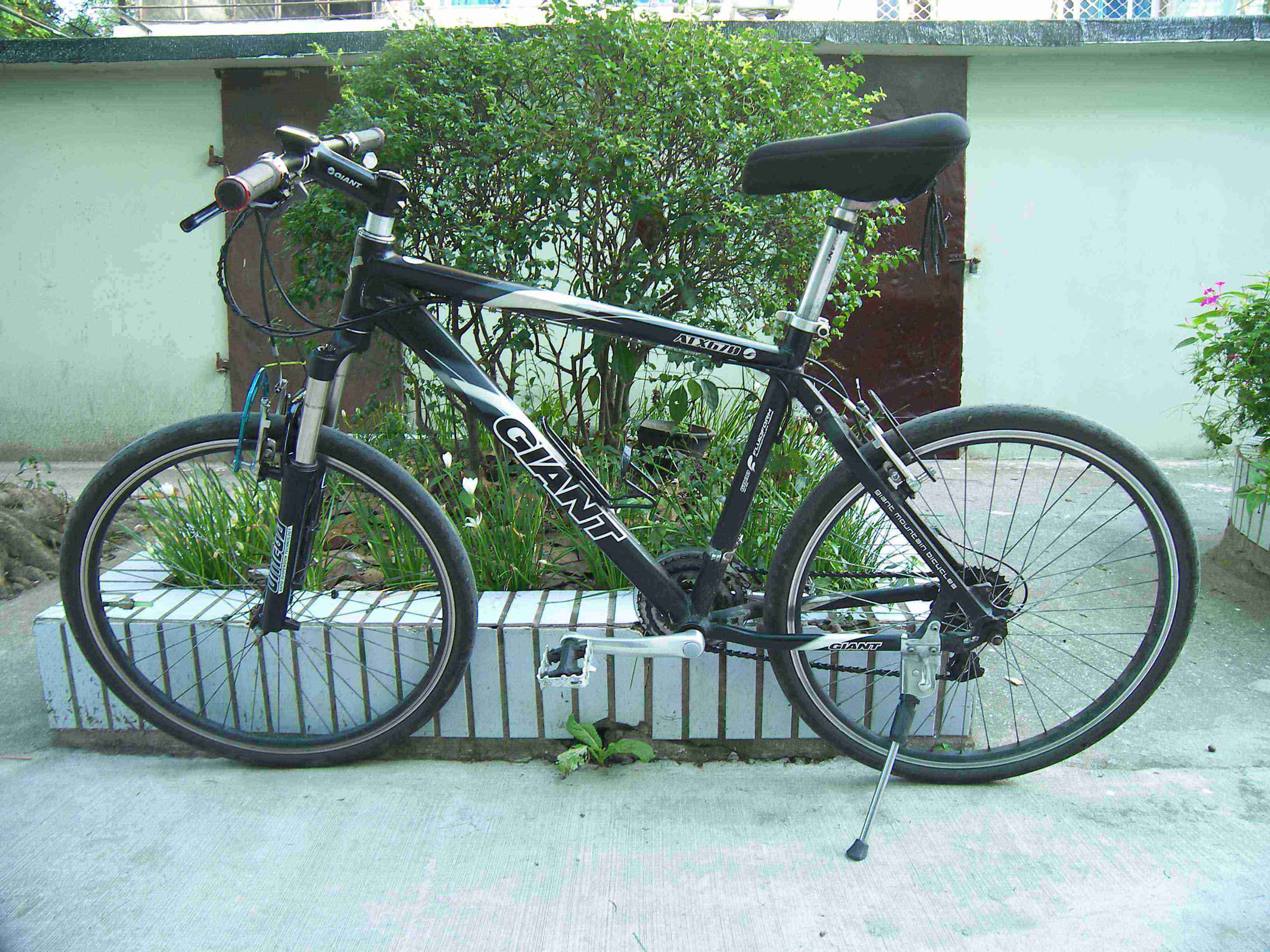 100_9964.jpg