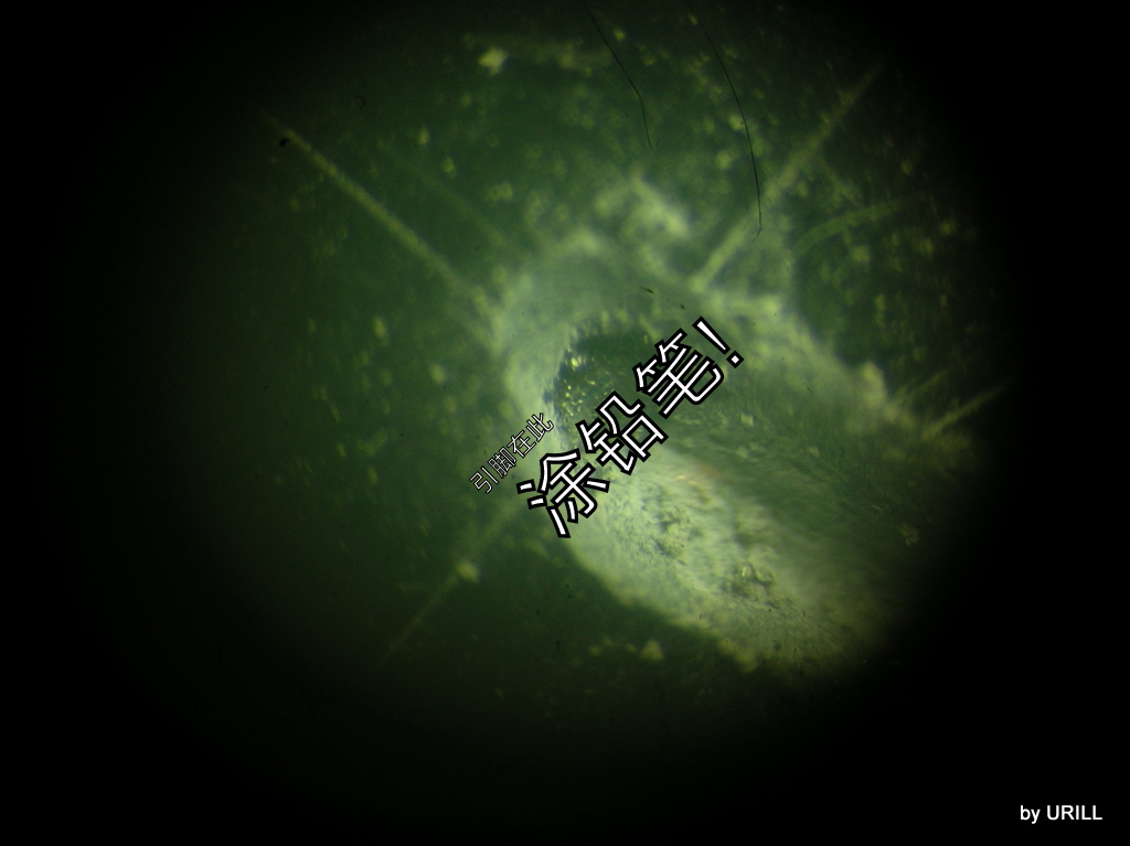 DSCN0806.JPG