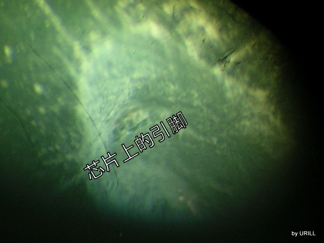 DSCN0804.JPG