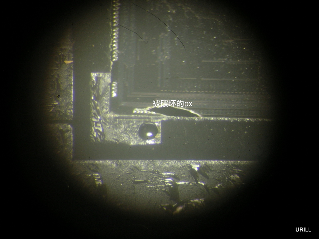 DSCN2552.JPG