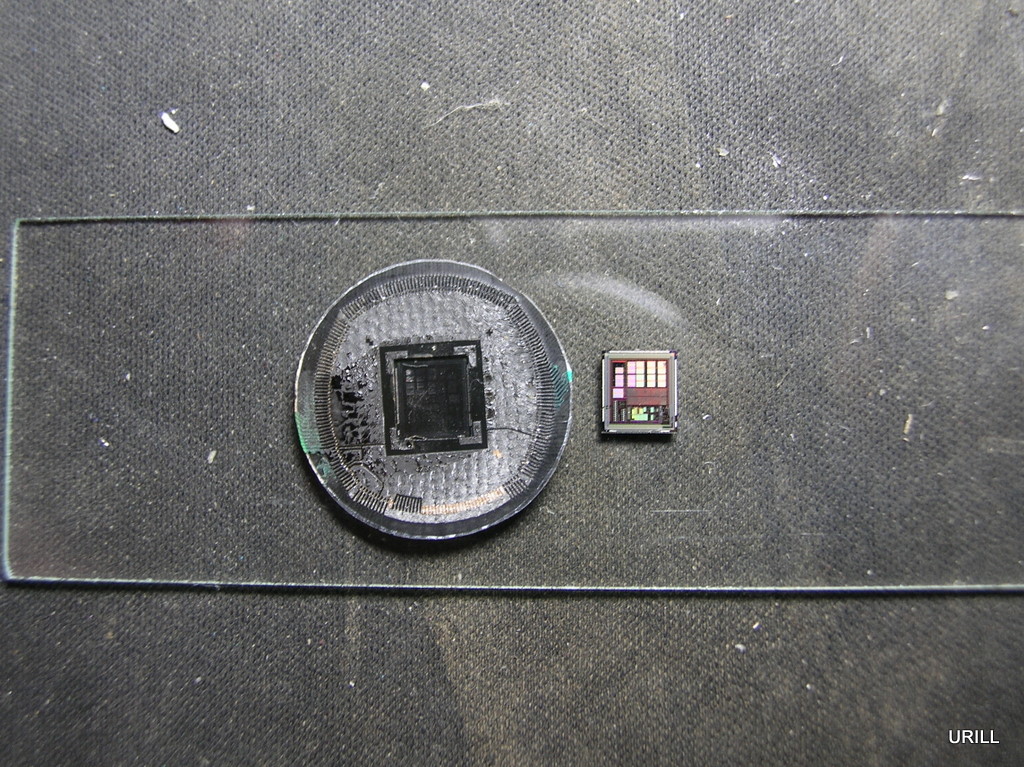DSCN2571.JPG