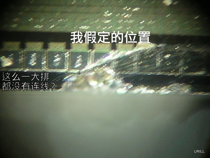 DSCN2557.JPG
