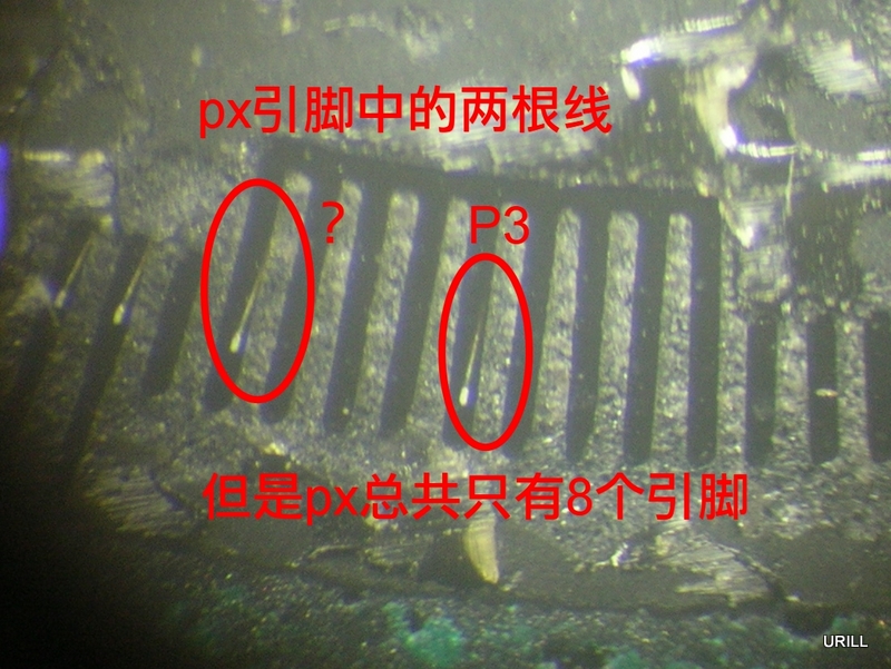 DSCN2546.JPG