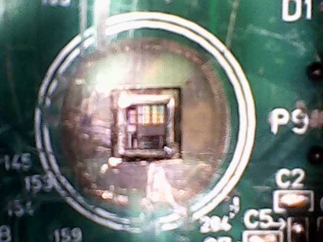 IMG0137A.jpg