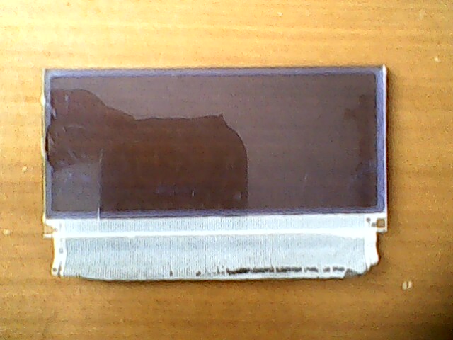 IMG0196A.jpg