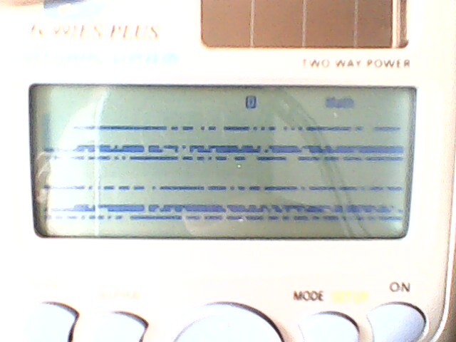 IMG0211A.jpg