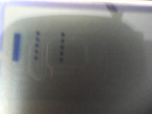 IMG0200A.jpg