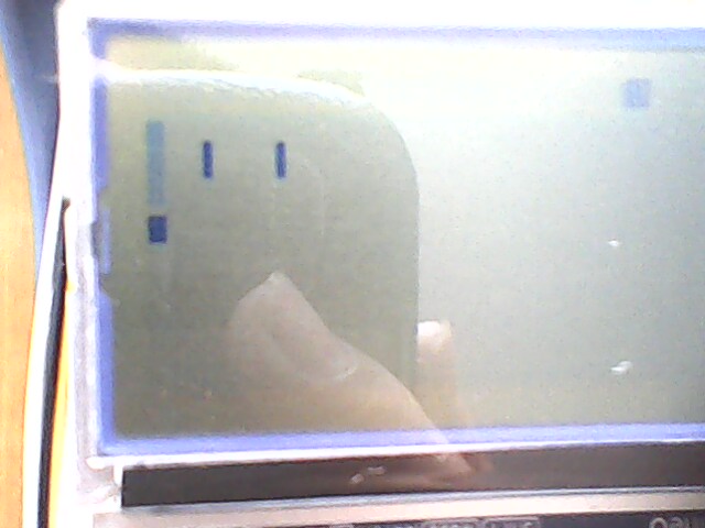 IMG0203A.jpg