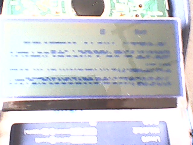 IMG0208A.jpg
