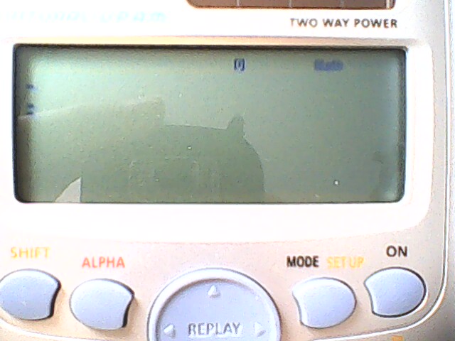 IMG0287A.jpg
