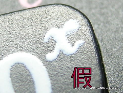 DSCN6302.JPG