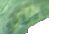 ggggg.jpg