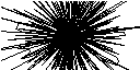 镜像11.bmp