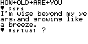 Image5.bmp